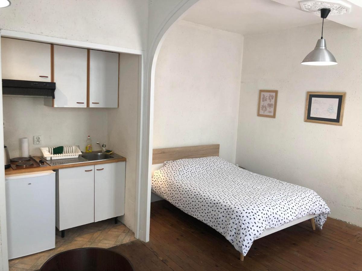 Coeur De Ville Appartement Meuble Angers Eksteriør billede